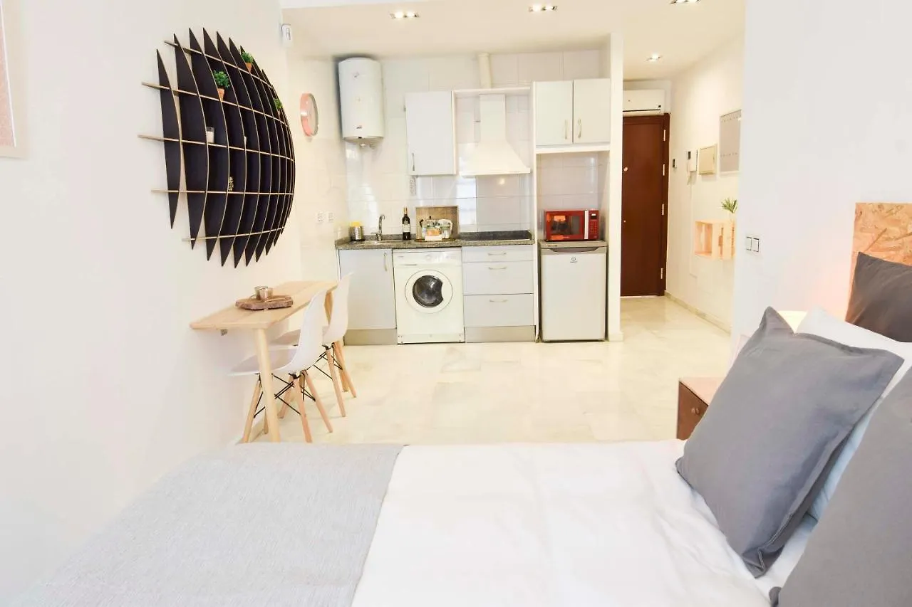 P&P Apartaments Pena Malaga 0*,